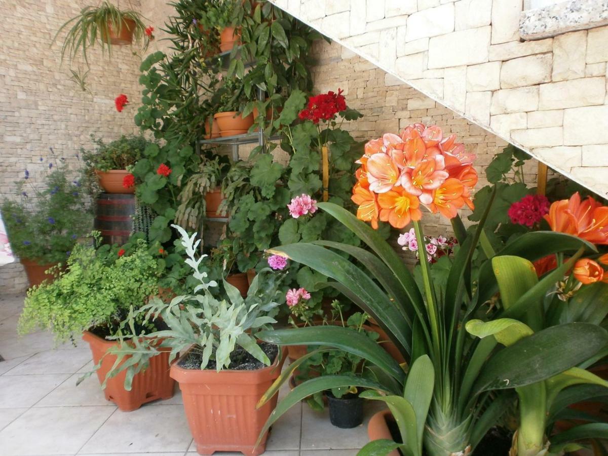 Villa Vrancic Ρόβινι Εξωτερικό φωτογραφία