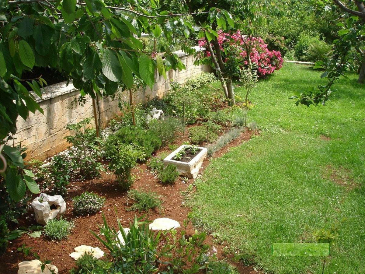 Villa Vrancic Ρόβινι Εξωτερικό φωτογραφία