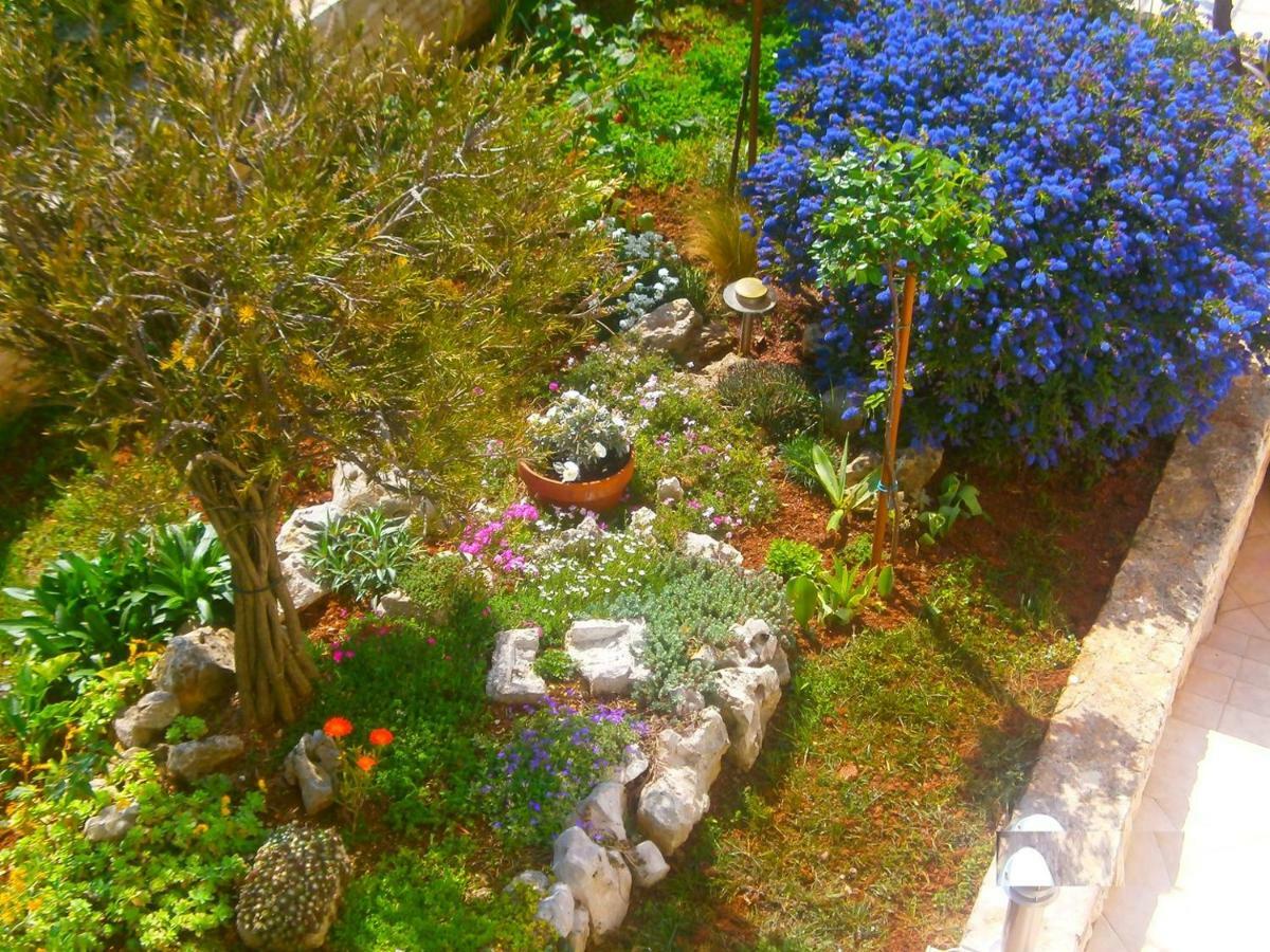 Villa Vrancic Ρόβινι Εξωτερικό φωτογραφία